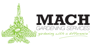 Mach Gardening Services Gardening edging ideas